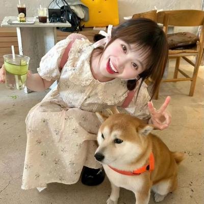 肥龙皇帝