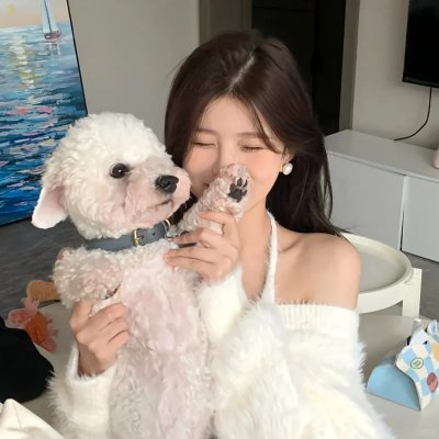 手机里的眼泪